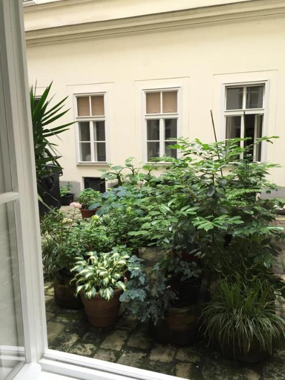 City Apartment Wina Bagian luar foto